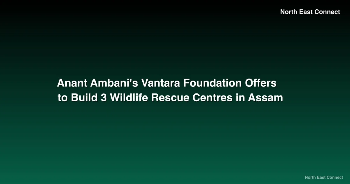 Anant Ambani's Vantara Foundation Offers to Build 3 Wildlife Rescue Centres in Assam