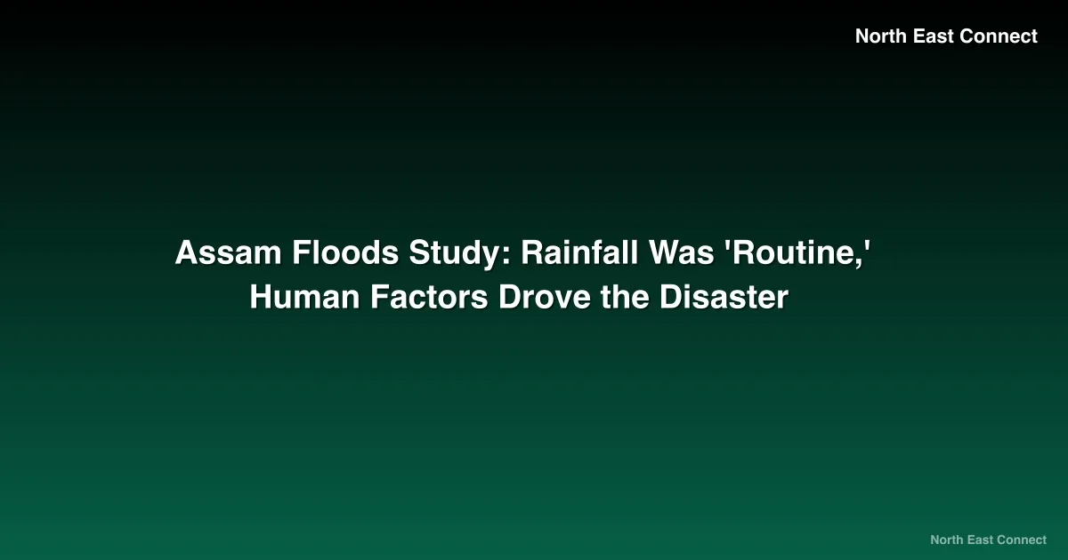Assam Floods Study: Rainfall Was 'Routine,' Human Factors Drove the Disaster