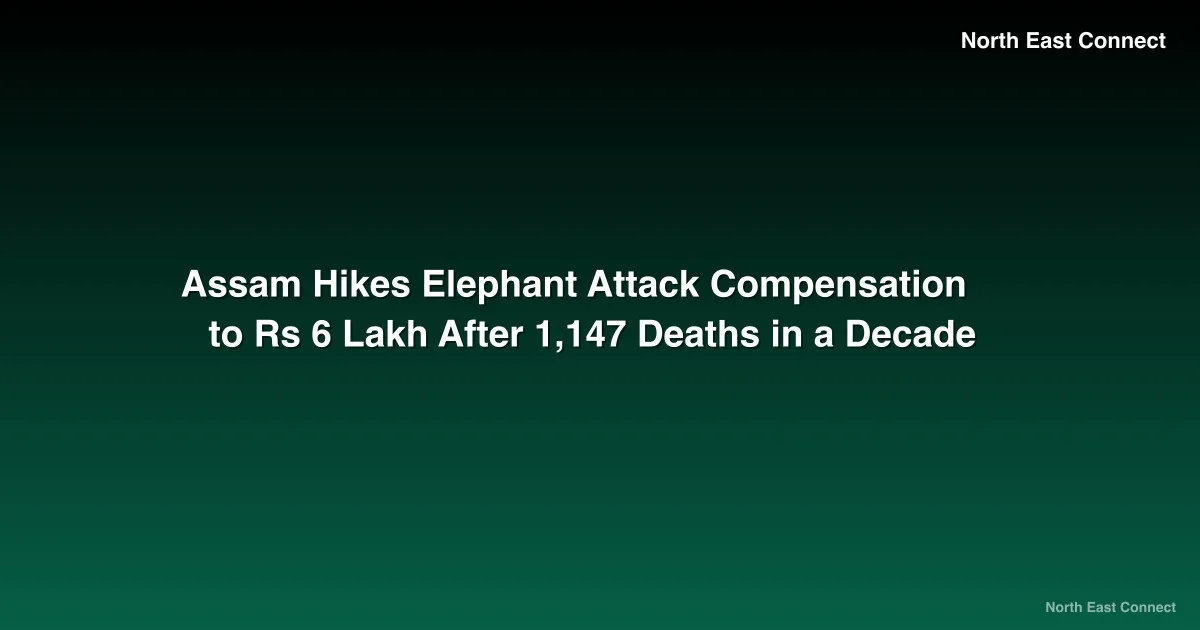 Assam Hikes Elephant Attack Compensation to Rs 6 Lakh After 1,147 Deaths in a Decade