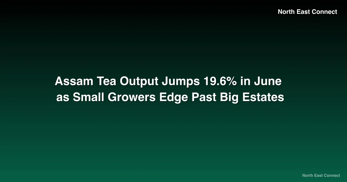 Assam Tea Output Jumps 19.6% in June as Small Growers Edge Past Big Estates