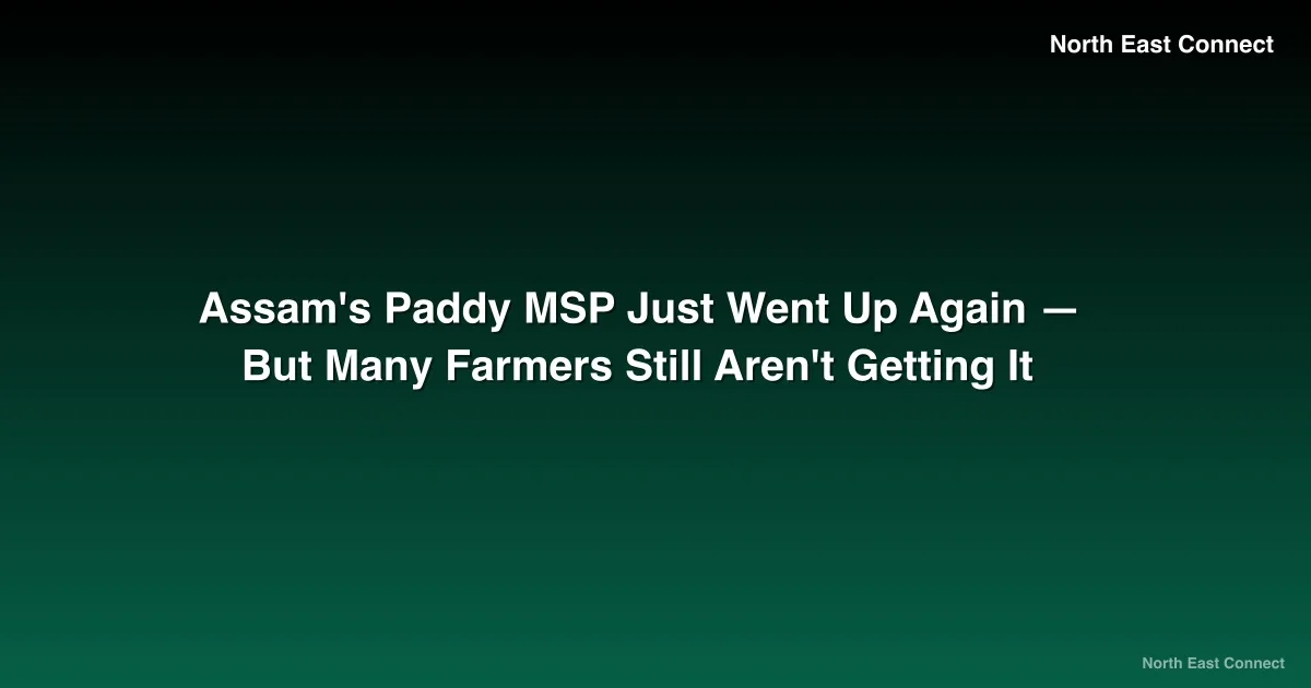 Assam's Paddy MSP Just Went Up Again — But Many Farmers Still Aren't Getting It