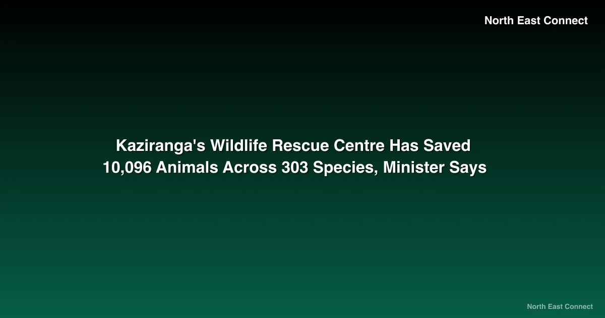 Kaziranga's Wildlife Rescue Centre Has Saved 10,096 Animals Across 303 Species, Minister Says