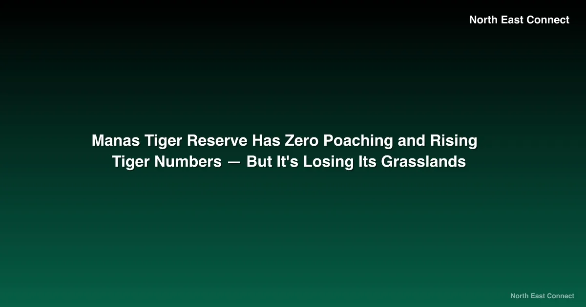 Manas Tiger Reserve Has Zero Poaching and Rising Tiger Numbers — But It's Losing Its Grasslands